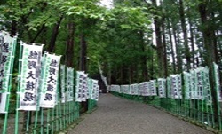 那智の森 那智の森