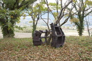 Ogasawara02 Ogasawara02